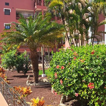 Casa Pascale Apartment Palm-mar