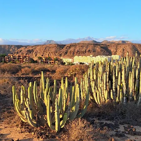 Casa Pascale Apartment *